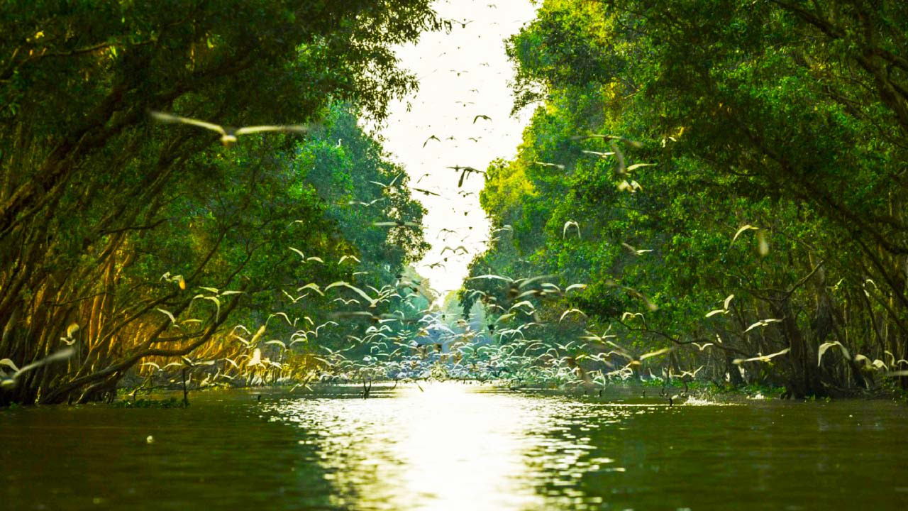 VQG Tràm Chim VQG Tràm Chim